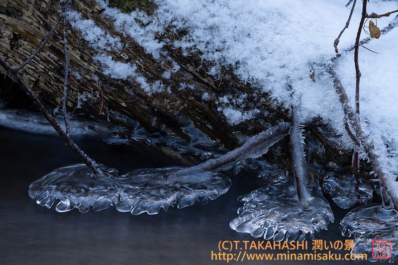 ../Images/7R251213 (50).jpg